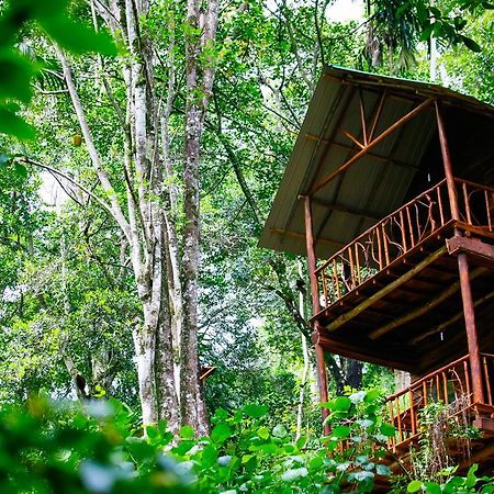 Ella Ecolodge Exteriér fotografie