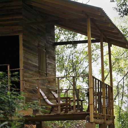 Ella Ecolodge Exteriér fotografie