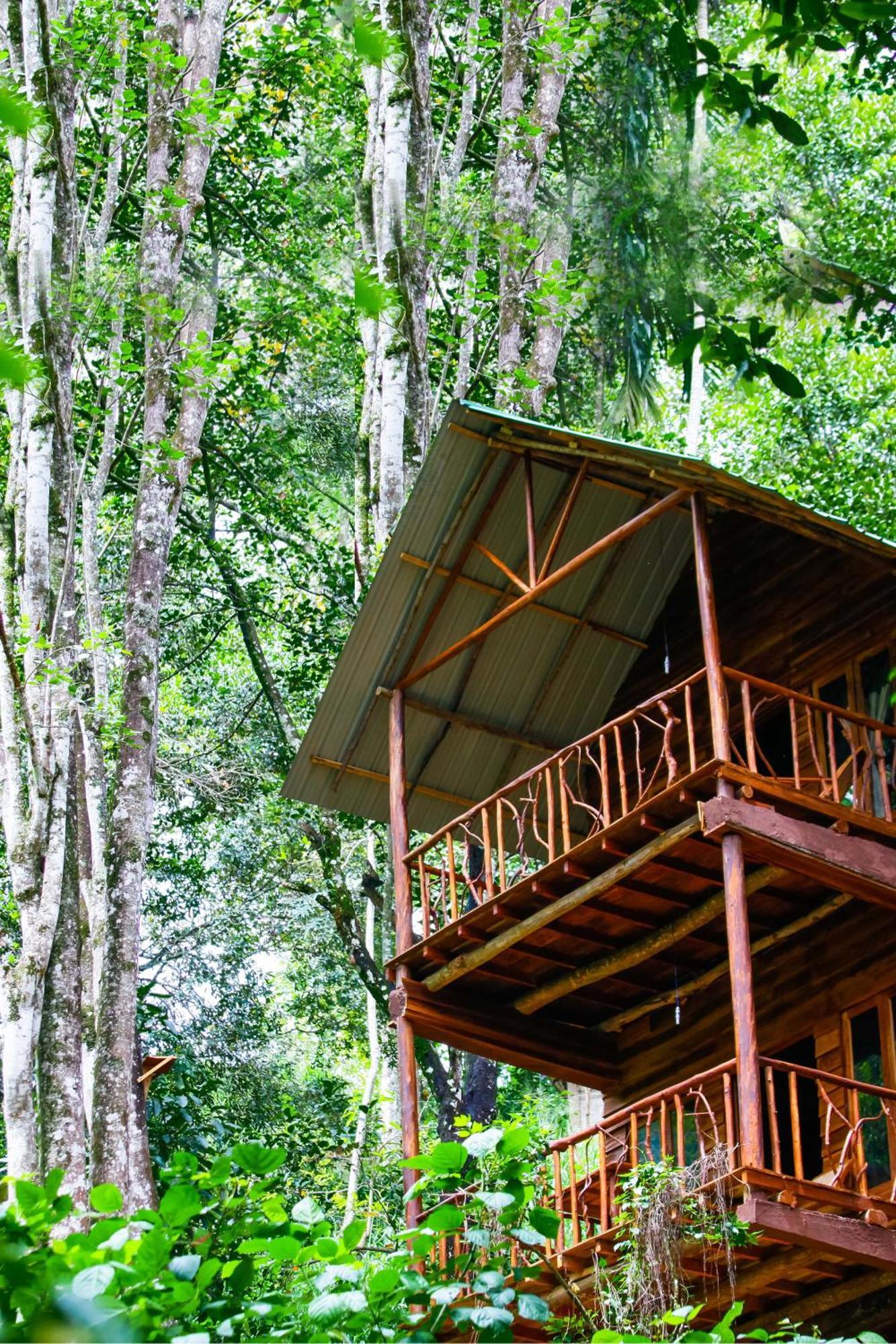 Ella Ecolodge Exteriér fotografie