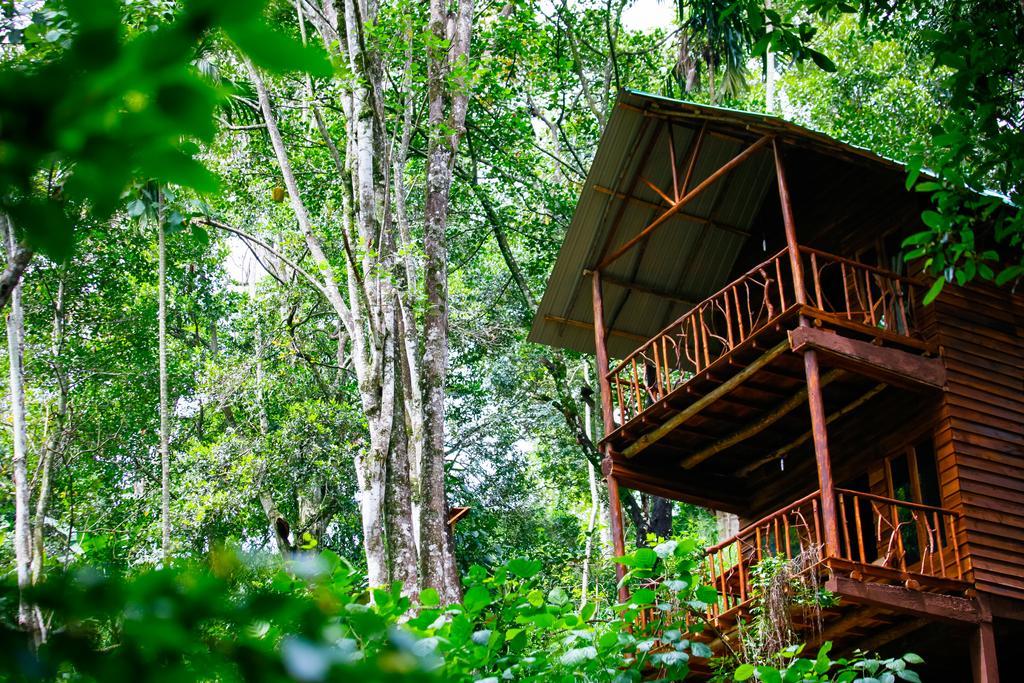 Ella Ecolodge Exteriér fotografie