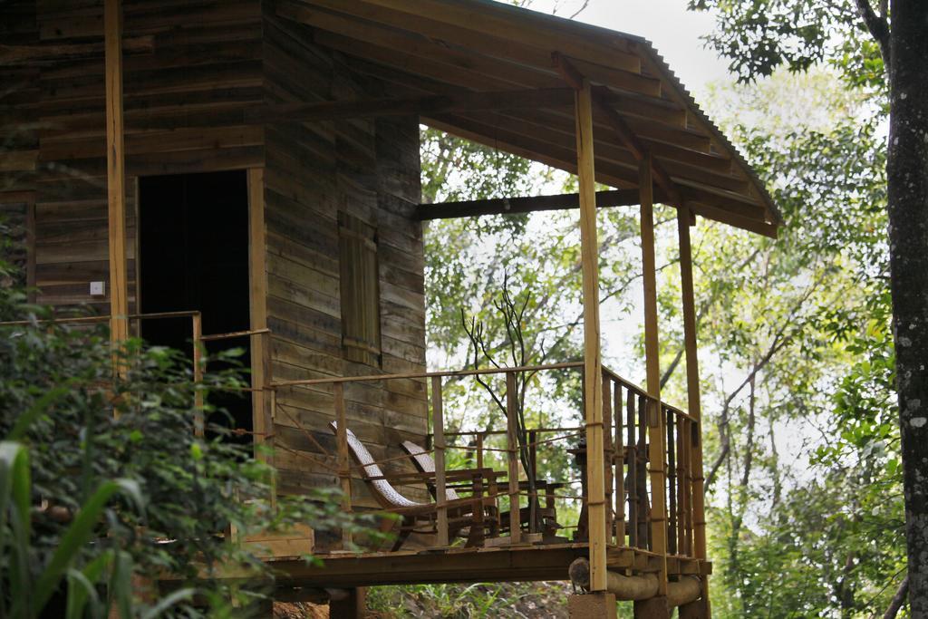 Ella Ecolodge Exteriér fotografie