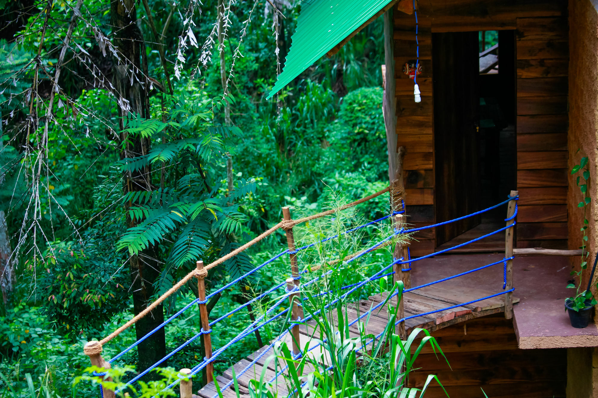 Ella Ecolodge Exteriér fotografie