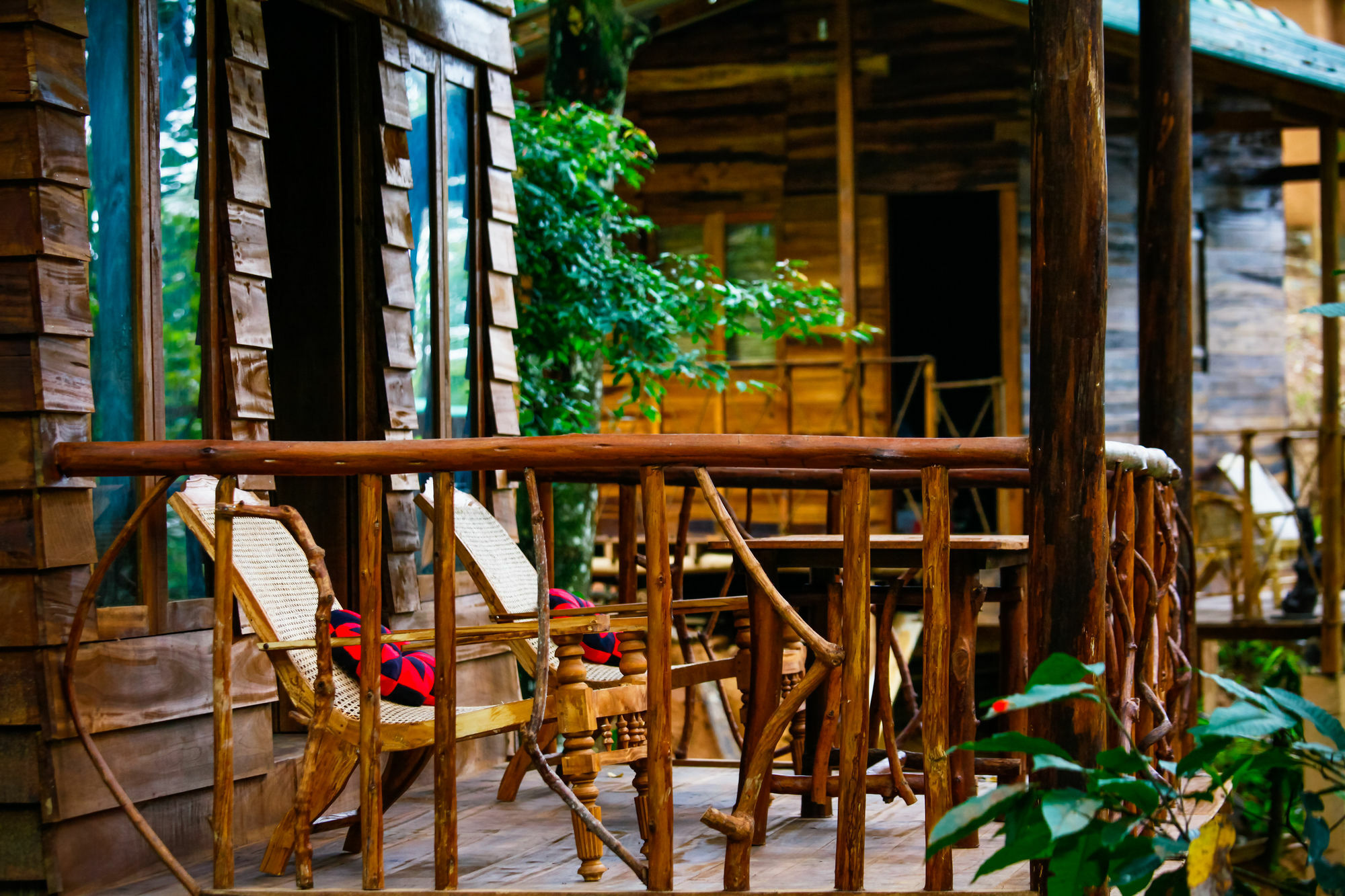 Ella Ecolodge Exteriér fotografie