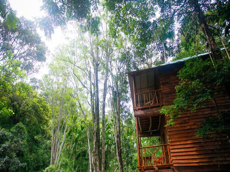 Ella Ecolodge Exteriér fotografie