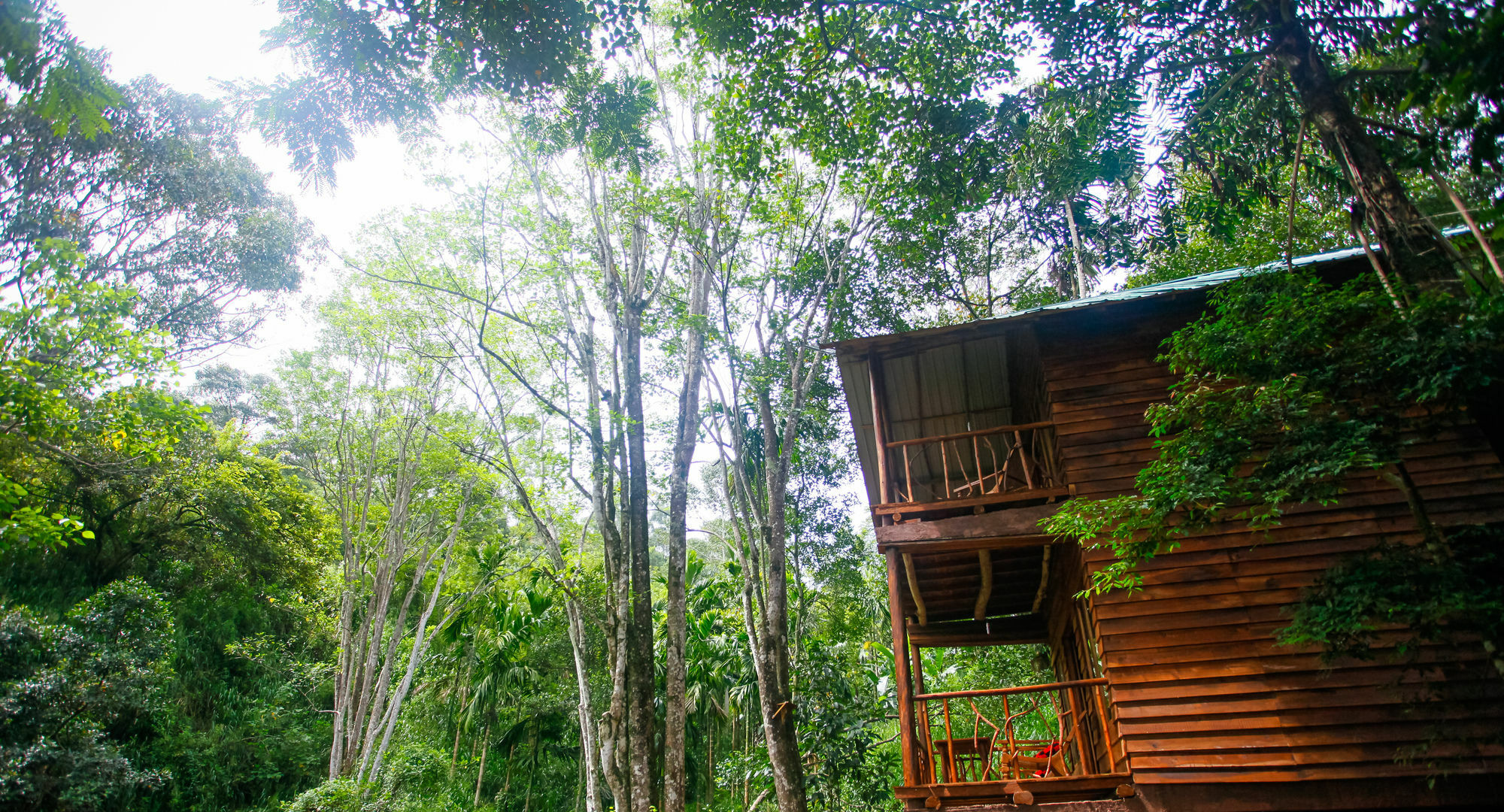 Ella Ecolodge Exteriér fotografie