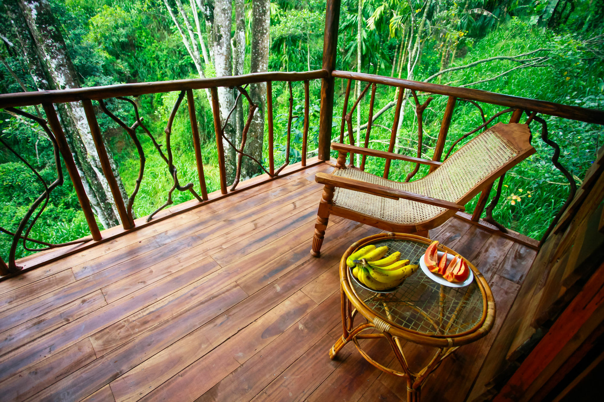 Ella Ecolodge Exteriér fotografie