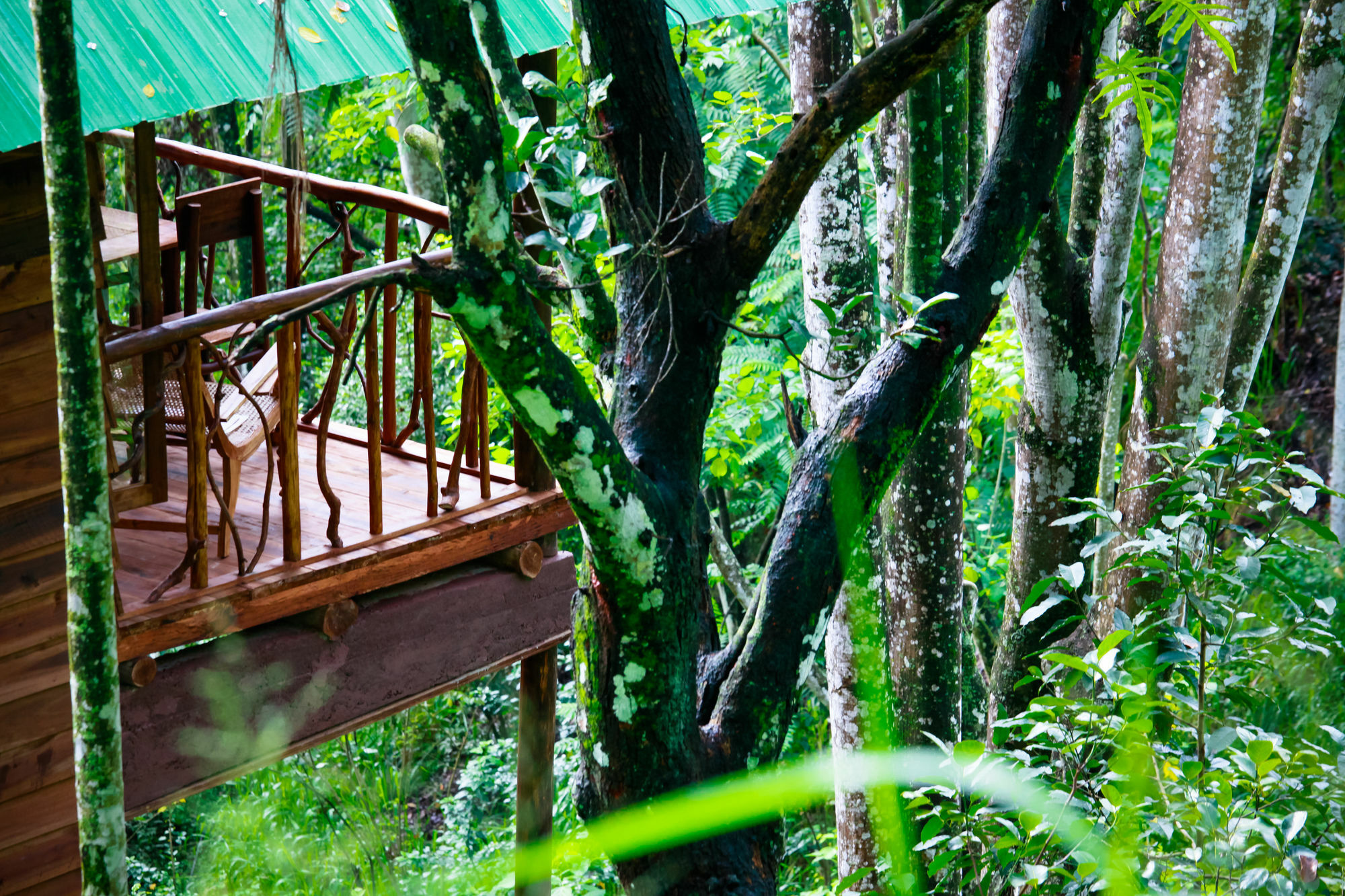 Ella Ecolodge Exteriér fotografie