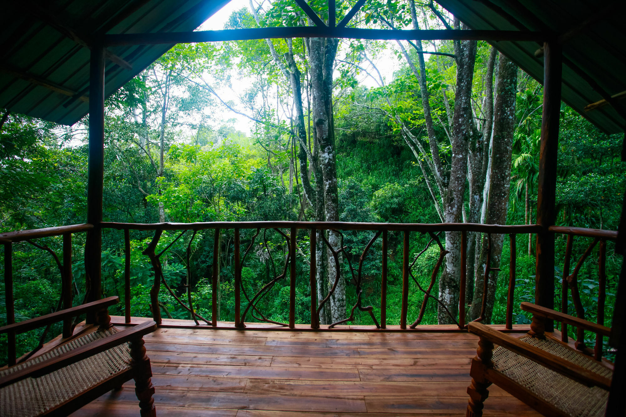 Ella Ecolodge Exteriér fotografie